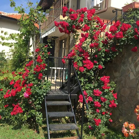Tatil Evi Sunny Hill Holiday