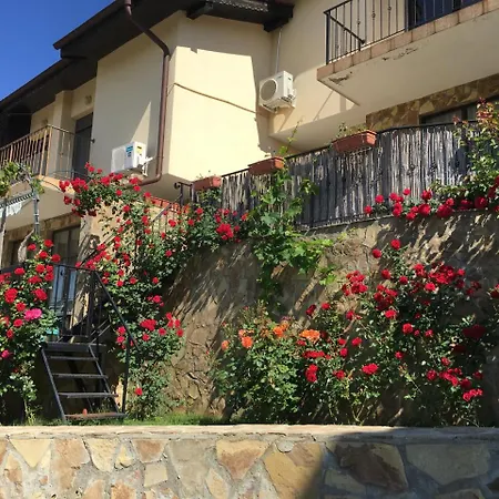 Sunny Hill Holiday Tatil Evi Kosharitsa