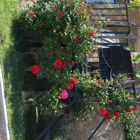 Sunny Hill Holiday Tatil Evi Kosharitsa