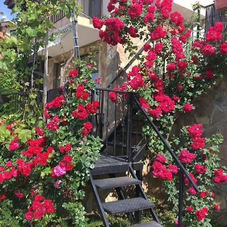 Sunny Hill Holiday Tatil Evi