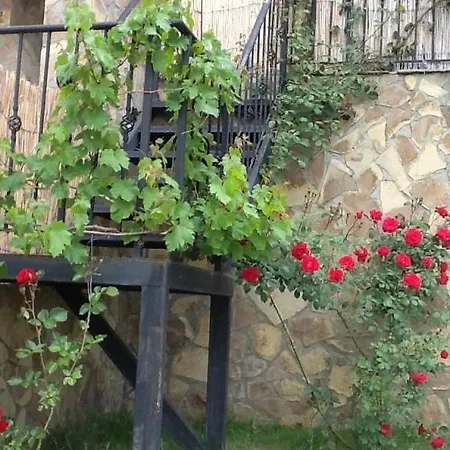Sunny Hill Holiday * קושריצה