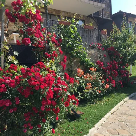 Sunny Hill Holiday בית נופש
