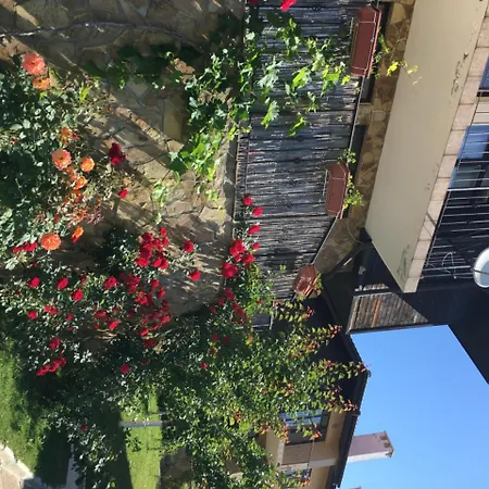 Sunny Hill Holiday