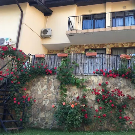 Sunny Hill Holiday
