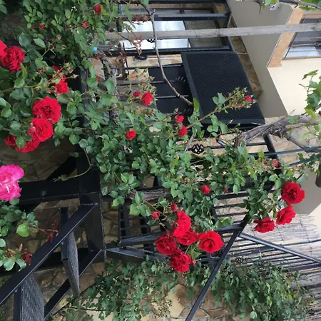 בית נופש Sunny Hill Holiday