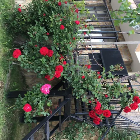 Sunny Hill Holiday קושריצה