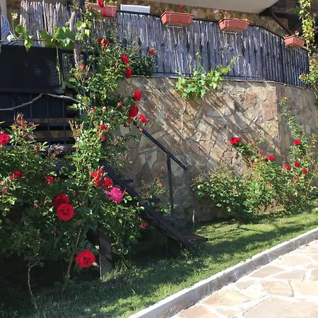 Sunny Hill Holiday קושריצה