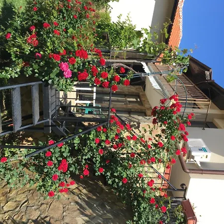 Sunny Hill Holiday קושריצה