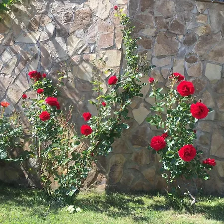 Sunny Hill Holiday בית נופש *