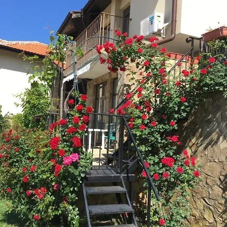 Sunny Hill Holiday בית נופש קושריצה